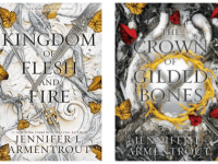 From Blood and Ash Series&nbsp;Review